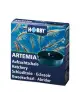 HOBBY - Hatcher - Hatcher for rearing brine shrimp
