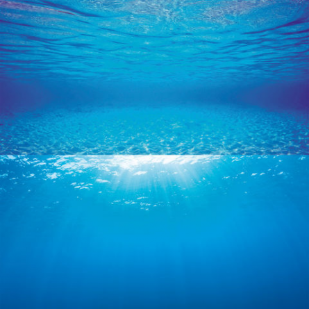 JUWEL - Poster di sfondo Taglia XL - 150x60 cm JUWEL - Poster di sfondo Taglia XL - 150x60 cm