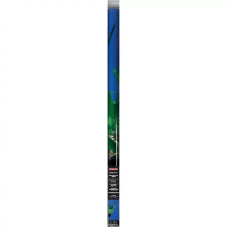 ZOLUX - Pôster de fundo Rocha/Azul - 120x60cm