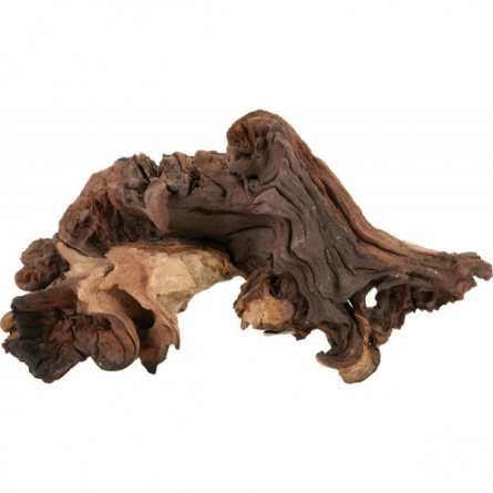 ZOLUX - Racine Maupani - Taille S