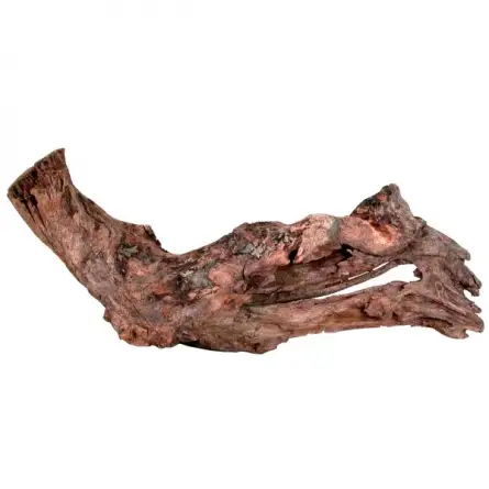 ZOLUX - Mangrovenwurzel - Größe S ZOLUX - Mangrovenwurzel - Größe S