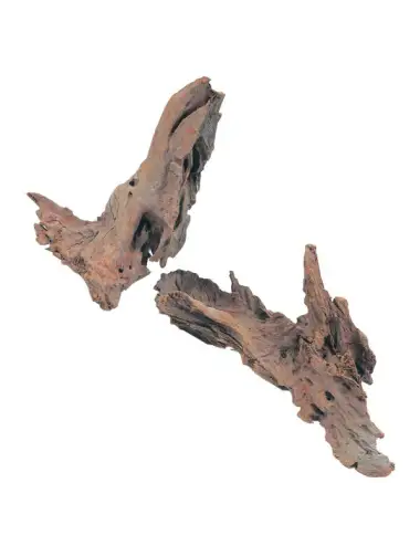 ZOLUX - Mangrove Root - Size M