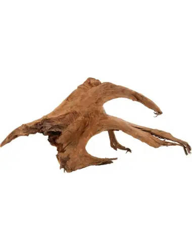 ZOLUX - Mangroverot - Storlek XL