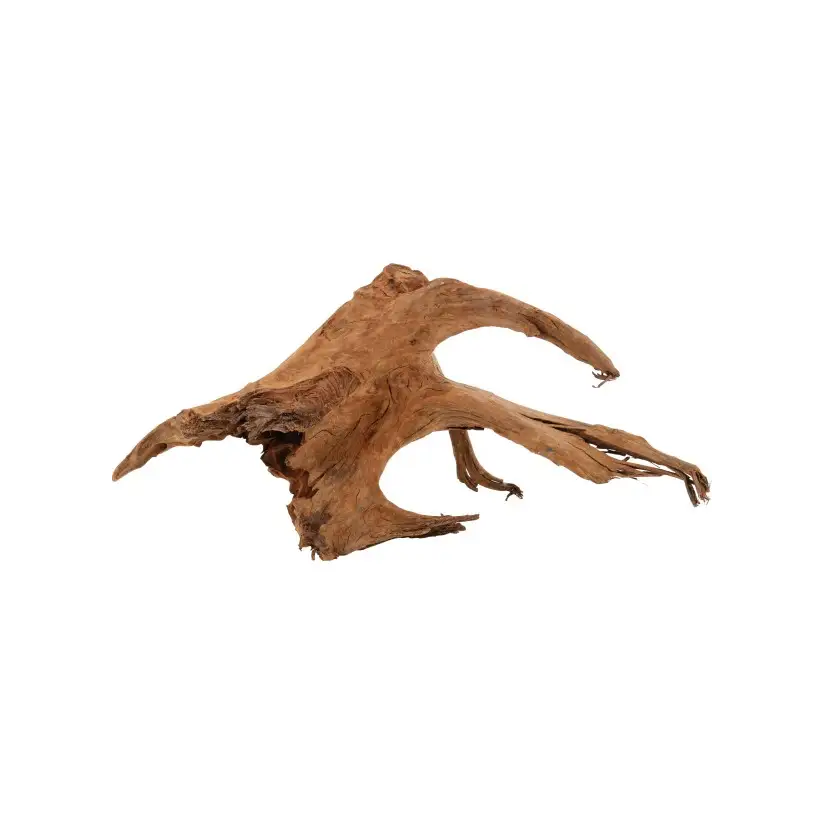 ZOLUX - Racine Mangrove - Taille XL