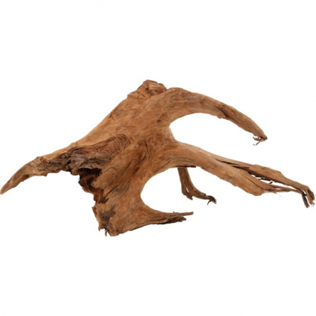 ZOLUX - Mangrove Root - Velikost XL ZOLUX - Mangrove Root - Velikost XL