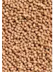 OCEAN NUTRITIONS - Community Formula Pellets - 100g - Pellet food for fish