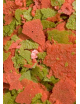 OCEAN NUTRITIONS - Discus Flakes - 34g - Flake food for Discus