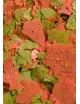 OCEAN NUTRITIONS - Discus Flakes - 34g - Mangime in scaglie per Discus