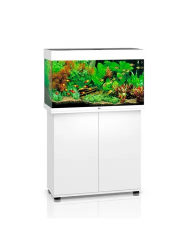 JUWEL - Rio 125 LED Weiß - Voll ausgestattetes Aquarium - Kostenlose Lieferung