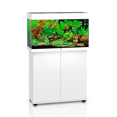 JUWEL - Rio 125 LED bianco - Acquario completamente attrezzato - Spedizione gratuita JUWEL - Rio 125 LED bianco - Acquario completamente attrezzato - Spedizione gratuita