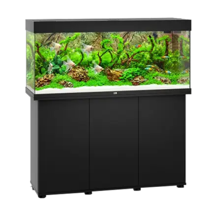 JUWEL - Rio 240 LED Noir - Aquarium tout équipé - Livraison gratuite JUWEL - Rio 240 LED Noir - Aquarium tout équipé - Livraison gratuite