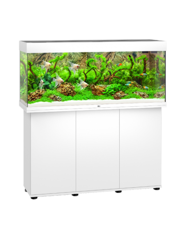 JUWEL - Rio 240 LED bianco - Acquario completamente attrezzato - Spedizione gratuita
