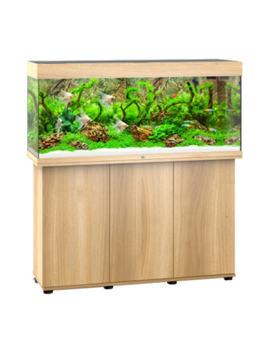 JUWEL - Rio 240 LED Chêne Clair - Aquarium tout équipé - Livraison gratuite