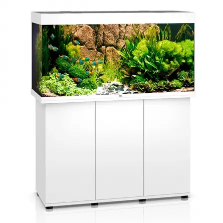 JUWEL - Rio 350 LED bianco - Acquario completamente attrezzato - Spedizione gratuita JUWEL - Rio 350 LED bianco - Acquario completamente attrezzato - Spedizione gratuita
