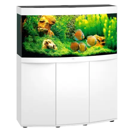 JUWEL - Vision 260 LED White - Potpuno opremljen akvarij - Besplatna dostava JUWEL - Vision 260 LED White - Potpuno opremljen akvarij - Besplatna dostava