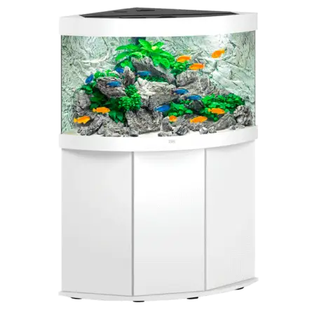 JUWEL - Trigon 190 LED Bianco - Acquario Completamente Attrezzato - Spedizione Gratuita JUWEL - Trigon 190 LED Bianco - Acquario Completamente Attrezzato - Spedizione Gratuita
