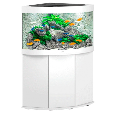 JUWEL - Trigon 190 LED Wit - Volledig uitgerust aquarium - Gratis levering