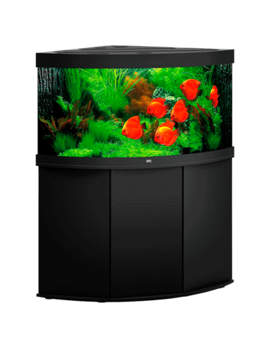 JUWEL - Trigon 350 LED Noir - Aquarium tout équipé - Livraison gratuite