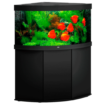 JUWEL - Trigon 350 LED Black - Aquário totalmente equipado - Entrega gratuita JUWEL - Trigon 350 LED Black - Aquário totalmente equipado - Entrega gratuita