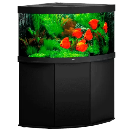 JUWEL - Trigon 350 LED Schwarz - Voll ausgestattetes Aquarium - Kostenlose Lieferung