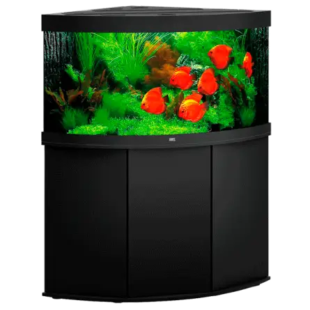 JUWEL - Trigon 350 LED Schwarz - Voll ausgestattetes Aquarium - Kostenlose Lieferung