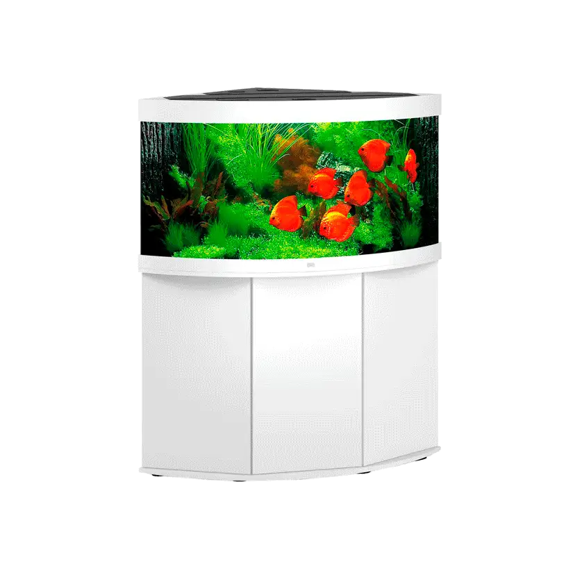 JUWEL - Trigon 350 LED Blanc - Aquarium tout équipé - Livraison gratuite