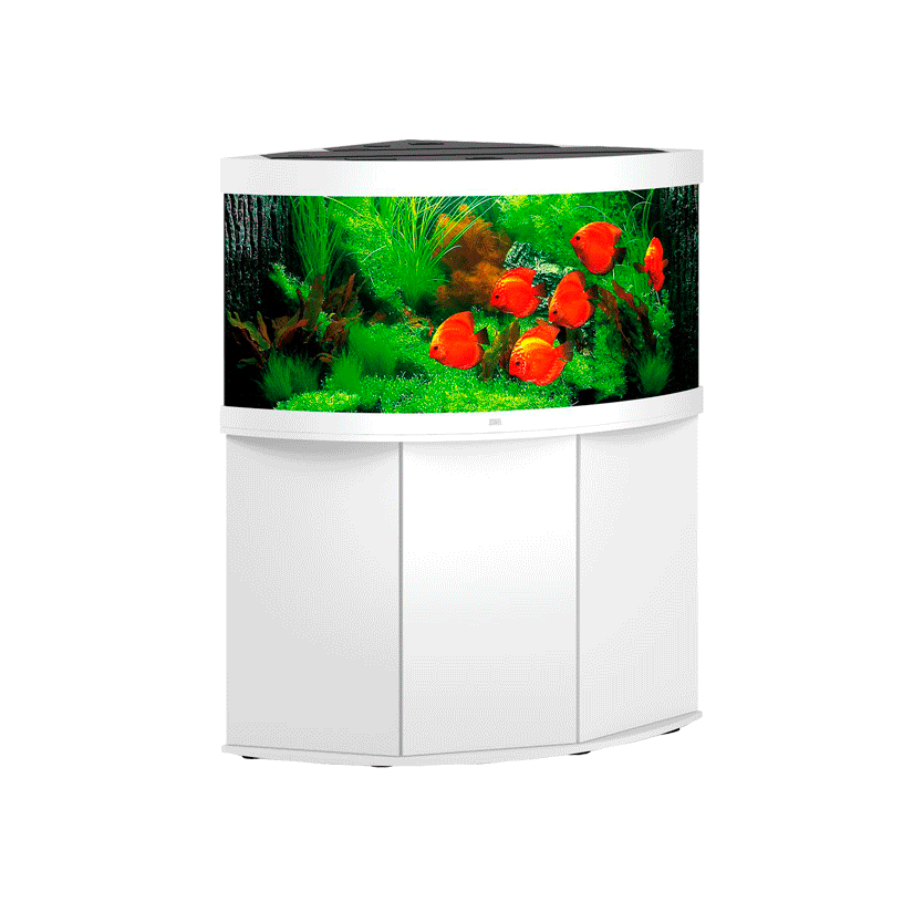 JUWEL - Trigon 350 LED Blanco - Acuario Totalmente Equipado - Envío Gratis