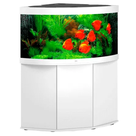 JUWEL - Trigon 350 LED Blanc - Aquarium tout équipé - Livraison gratuite
