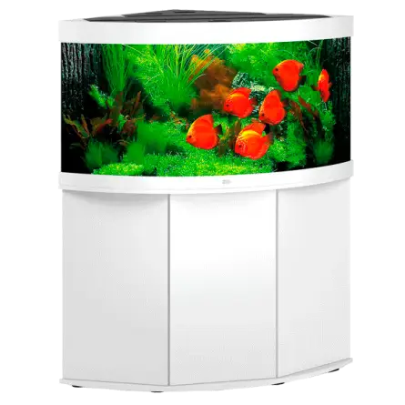 JUWEL - Trigon 350 LED Blanc - Aquarium tout équipé - Livraison gratuite