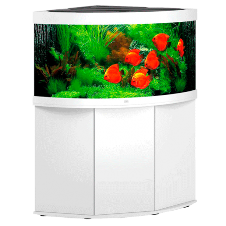 JUWEL - Trigon 350 LED Branco - Aquário totalmente equipado - Entrega gratuita JUWEL - Trigon 350 LED Branco - Aquário totalmente equipado - Entrega gratuita