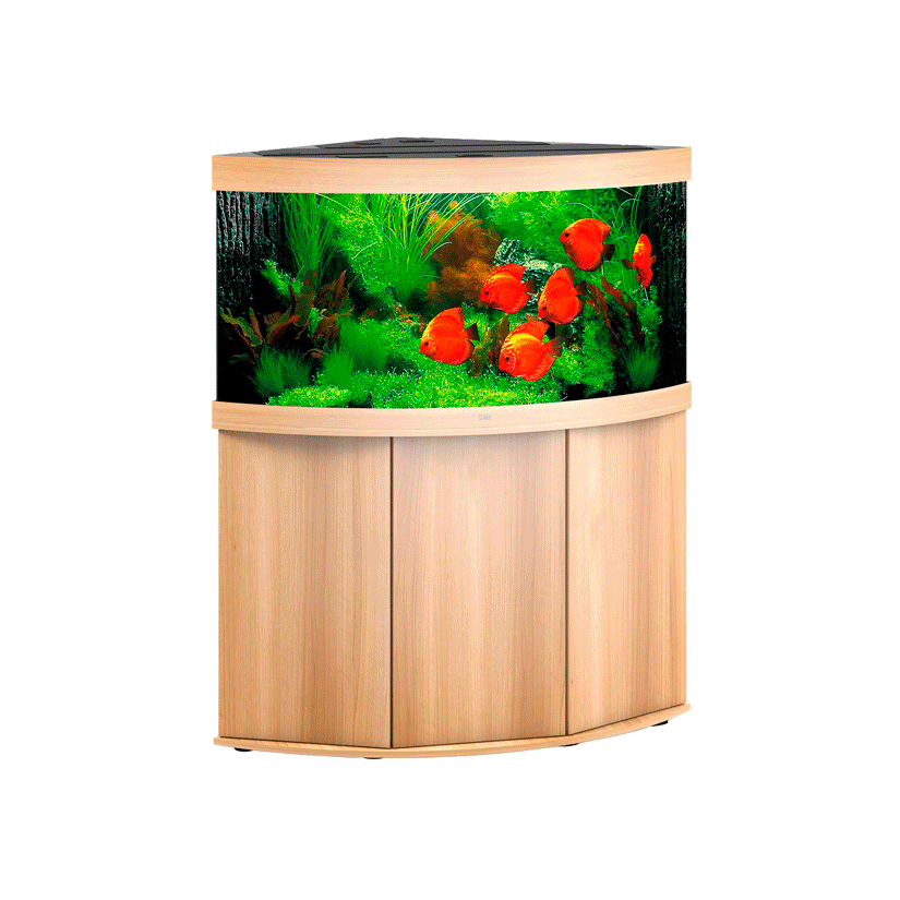 JUWEL - Trigon 350 LED Light Oak - Aquário totalmente equipado - Entrega gratuita