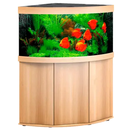 JUWEL - Trigon 350 LED Chêne Clair - Aquarium tout équipé - Livraison gratuite JUWEL - Trigon 350 LED Chêne Clair - Aquarium tout équipé - Livraison gratuite
