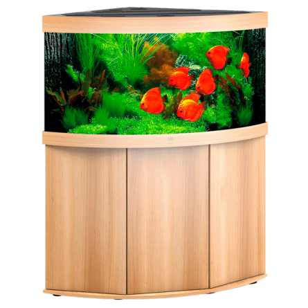 JUWEL - Trigon 350 LED Light Oak - Popolnoma opremljen akvarij - Brezplačna dostava JUWEL - Trigon 350 LED Light Oak - Popolnoma opremljen akvarij - Brezplačna dostava