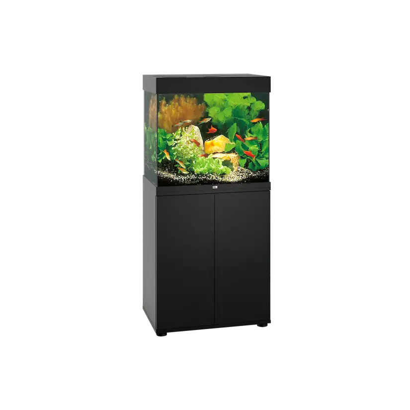 JUWEL - Lido 120 LED Noir - Aquarium tout équipé - Livraison gratuite
