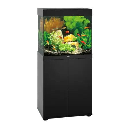JUWEL - Lido 120 LED Black - Acquario completamente attrezzato - Spedizione gratuita JUWEL - Lido 120 LED Black - Acquario completamente attrezzato - Spedizione gratuita
