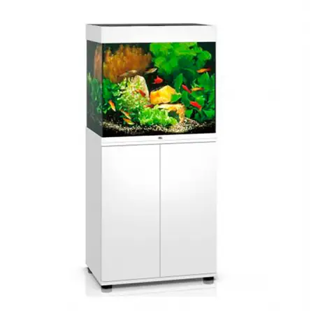 JUWEL - Lido 120 LED Bianco - Acquario Completamente Attrezzato - Spedizione Gratuita JUWEL - Lido 120 LED Bianco - Acquario Completamente Attrezzato - Spedizione Gratuita