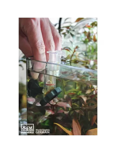 DENNERLE - Dosator - Distributeur d’engrais pour aquarium