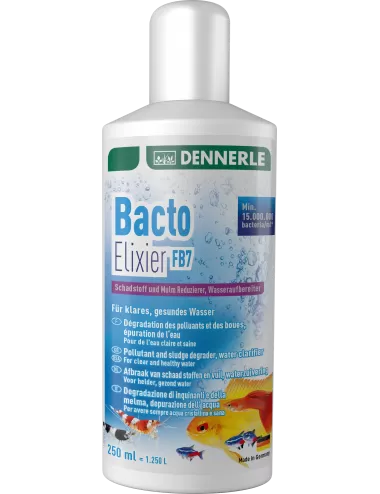 DENNERLE - Bacto Elixier - 250ml - Bactéries de filtration