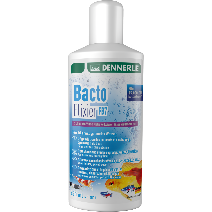 DENNERLE - Bacto Elixier - 250ml - Bactéries de filtration