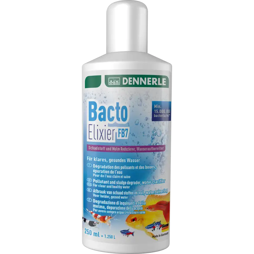 DENNERLE - Bacto Elixier - 250ml - Filter bacteria