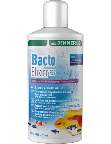 DENNERLE - Bacto Elixier - 500ml - Bactéries de filtration