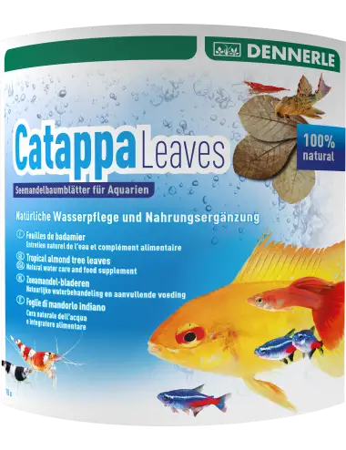 DENNERLE - Catappa Leaves - 10 Pces - Badamier Leaves
