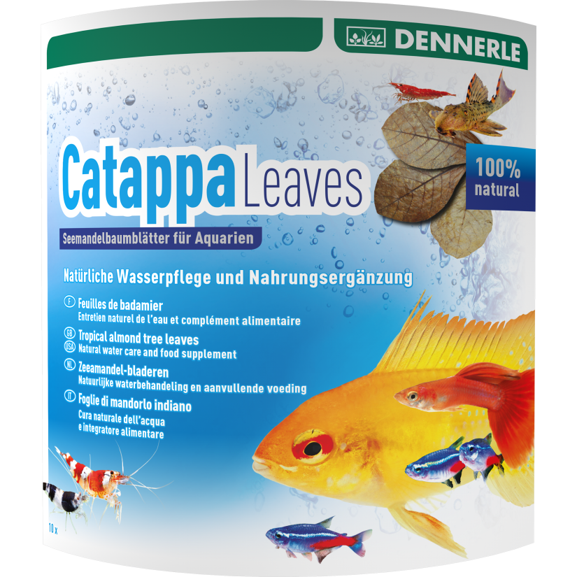 DENNERLE - Folhas de Catappa - 10 unidades - Folhas de Badamier