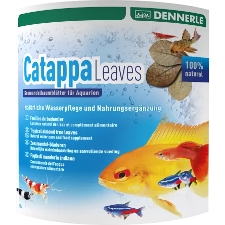 DENNERLE - Catappa Leaves - 10 Pces - Badamier Leaves