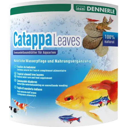 DENNERLE - Catappabladeren - 10 stuks - Badamierbladeren DENNERLE - Catappabladeren - 10 stuks - Badamierbladeren