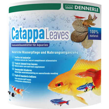 DENNERLE - Folhas de Catappa - 10 unidades - Folhas de Badamier