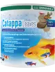 DENNERLE - Catappabladeren - 10 stuks - Badamierbladeren DENNERLE - Catappabladeren - 10 stuks - Badamierbladeren
