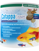 DENNERLE - Foglie Catappa - 10 Pz - Foglie Badamier DENNERLE - Foglie Catappa - 10 Pz - Foglie Badamier