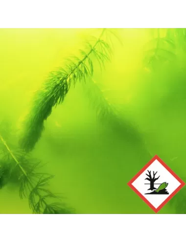 JBL - AlgoPond Green - 500ml - Anti-algues verte