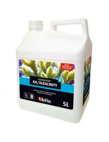 Red Sea - Temelj grebena B (KH) - 5L